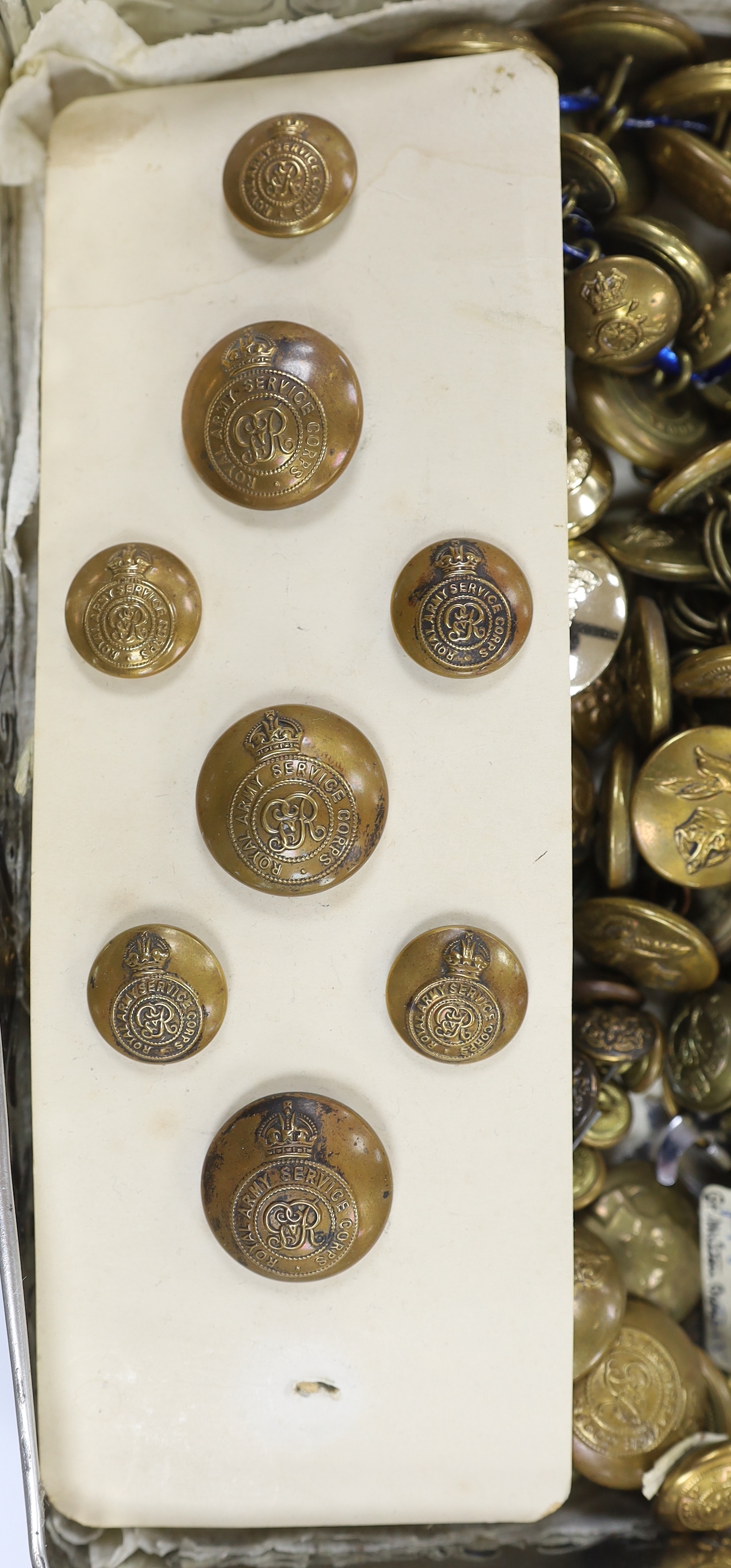 A collection of military buttons, examples including; Royal Fusiliers, Royal Navy, Royal Artillery, RASC, RAMC, RAF, etc. and a few cloth titles, etc.